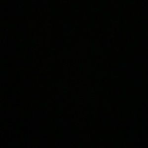 Meet your Posher, Rosalie